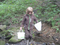 &copy; Zierfischfreunde Immenhausen-Holzhausen